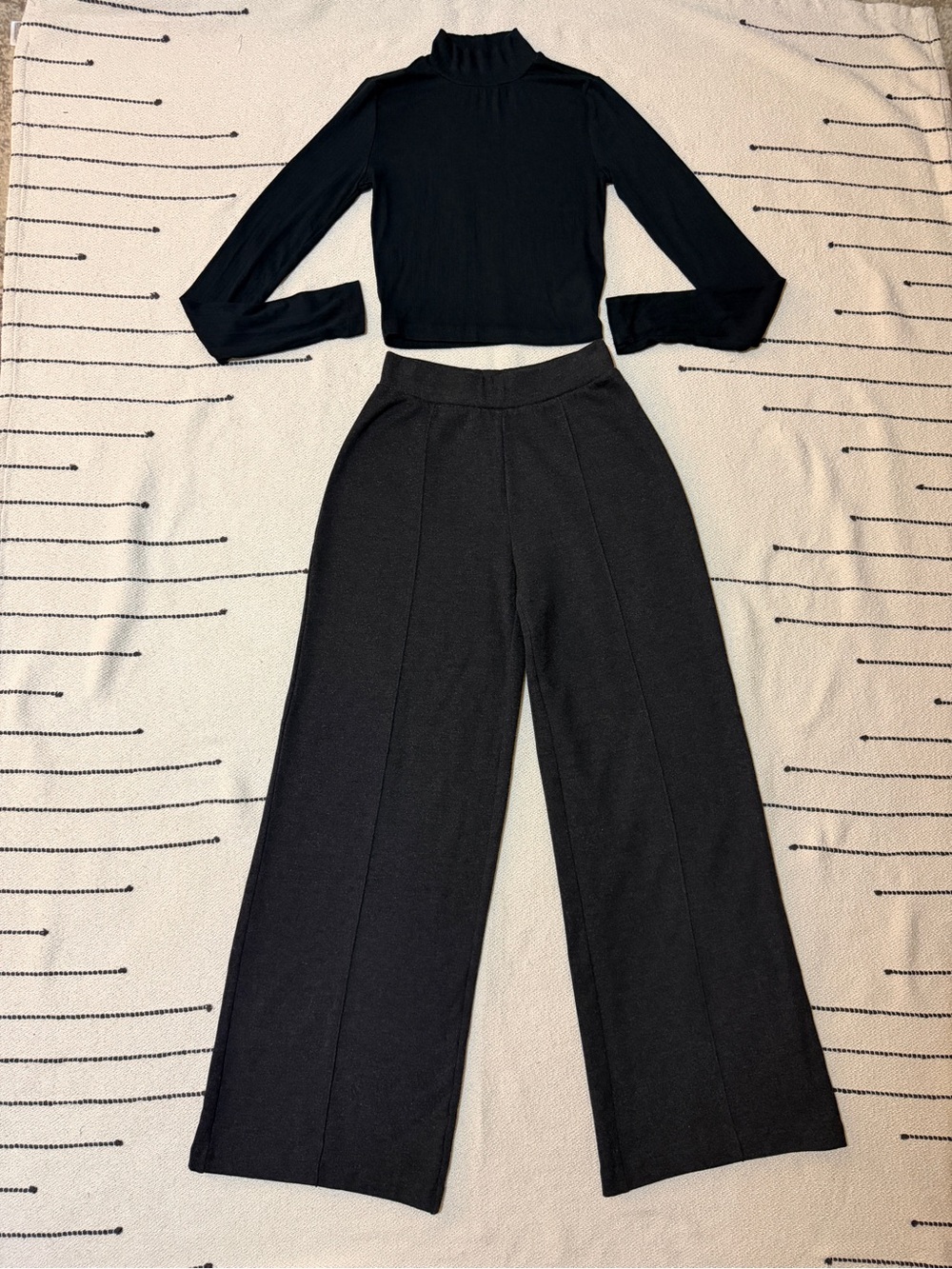 Aritzia The Group by Babaton Hideaway Pant (heather black) (top included)